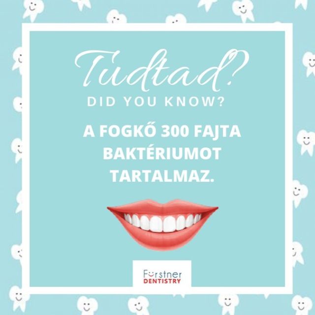Did you know?🤓 Plaque contains more than 300 kinds of bacteria. You read that right, plaque contains minerals which are the perfect breeding ground for harmful bacteria. 👀 More than 80% of adults have some degree of tartar, which only a trained specialist can remove. Tartar can cause tooth decay, gum infections, alveolitis and bad breath, so getting them removed every 6 months is essential for good oral hygiene.  Book an appointment today!👩‍⚕️ +361 266 1773👈